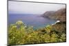 USA, California, Big Sur. Coastline landscape in summer.-Jaynes Gallery-Mounted Photographic Print