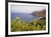 USA, California, Big Sur. Coastline landscape in summer.-Jaynes Gallery-Framed Photographic Print