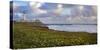 USA, California. Big Sur panorama with lighthouse and coastal plants.-Anna Miller-Stretched Canvas