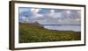 USA, California. Big Sur panorama with lighthouse and coastal plants.-Anna Miller-Framed Photographic Print