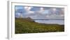 USA, California. Big Sur panorama with lighthouse and coastal plants.-Anna Miller-Framed Photographic Print