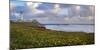 USA, California. Big Sur panorama with lighthouse and coastal plants.-Anna Miller-Mounted Photographic Print