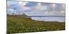 USA, California. Big Sur panorama with lighthouse and coastal plants.-Anna Miller-Mounted Photographic Print