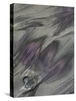 USA, California, Big Sur. Patterns in beach sand.-Jaynes Gallery-Stretched Canvas