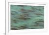 USA, California, Big Sur. Strands of ocean kelp forest.-Jaynes Gallery-Framed Photographic Print