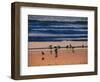 USA, California. Birds feeding on a beach near Morro Bay at sunset.-Anna Miller-Framed Photographic Print