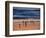 USA, California. Birds feeding on a beach near Morro Bay at sunset.-Anna Miller-Framed Photographic Print