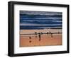 USA, California. Birds feeding on a beach near Morro Bay at sunset.-Anna Miller-Framed Photographic Print