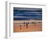 USA, California. Birds feeding on a beach near Morro Bay at sunset.-Anna Miller-Framed Photographic Print