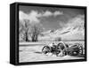 USA, California, Bishop. Snow-Covered Vintage Wagon in Owens Valley-Dennis Flaherty-Framed Stretched Canvas