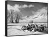 USA, California, Bishop. Snow-Covered Vintage Wagon in Owens Valley-Dennis Flaherty-Framed Stretched Canvas