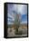 USA, California. Blooming Ocotillo in desert landscape, Anza-Borrego Desert State Park-Judith Zimmerman-Framed Stretched Canvas