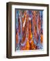 USA, California, Bodie State Park. Abstract of window.-Jaynes Gallery-Framed Photographic Print