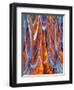 USA, California, Bodie State Park. Abstract of window.-Jaynes Gallery-Framed Photographic Print