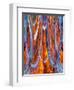 USA, California, Bodie State Park. Abstract of window.-Jaynes Gallery-Framed Photographic Print