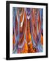 USA, California, Bodie State Park. Abstract of window.-Jaynes Gallery-Framed Photographic Print