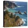 USA, California. California coast, Big Sur region.-Anna Miller-Stretched Canvas