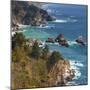 USA, California. California coast, Big Sur region.-Anna Miller-Mounted Photographic Print