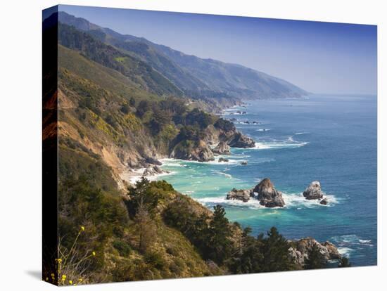 USA, California. California coast, Big Sur region.-Anna Miller-Stretched Canvas