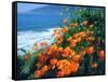 USA, California, California Poppies Along the Pacific Coast-Jaynes Gallery-Framed Stretched Canvas