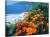 USA, California, California Poppies Along the Pacific Coast-Jaynes Gallery-Stretched Canvas