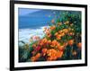 USA, California, California Poppies Along the Pacific Coast-Jaynes Gallery-Framed Photographic Print