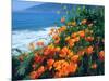 USA, California, California Poppies Along the Pacific Coast-Jaynes Gallery-Mounted Photographic Print