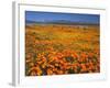 USA, California, California Poppies and Tehachapi Mountains-Jaynes Gallery-Framed Photographic Print