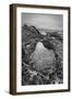 USA, California, Carmel, Point Lobos-John Ford-Framed Photographic Print