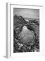 USA, California, Carmel, Point Lobos-John Ford-Framed Photographic Print