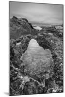 USA, California, Carmel, Point Lobos-John Ford-Mounted Photographic Print