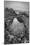 USA, California, Carmel, Point Lobos-John Ford-Mounted Photographic Print