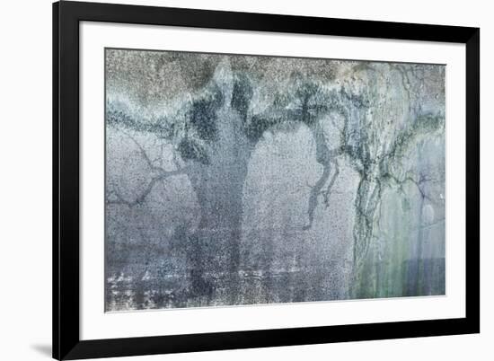 USA, California, Carrizo Plain National Monument. Abstract of oak tree and metal-Jaynes Gallery-Framed Premium Photographic Print