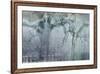 USA, California, Carrizo Plain National Monument. Abstract of oak tree and metal-Jaynes Gallery-Framed Premium Photographic Print