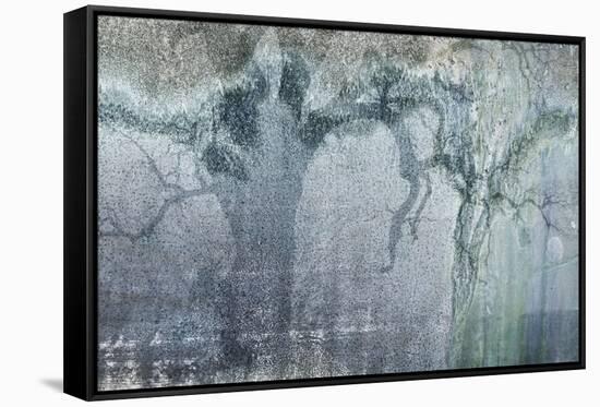 USA, California, Carrizo Plain National Monument. Abstract of oak tree and metal-Jaynes Gallery-Framed Stretched Canvas