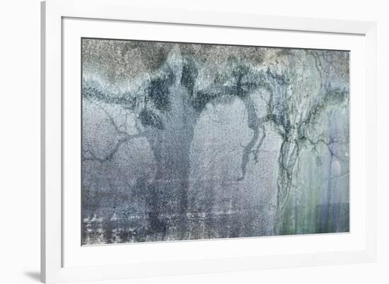 USA, California, Carrizo Plain National Monument. Abstract of oak tree and metal-Jaynes Gallery-Framed Photographic Print