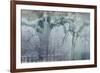 USA, California, Carrizo Plain National Monument. Abstract of oak tree and metal-Jaynes Gallery-Framed Photographic Print