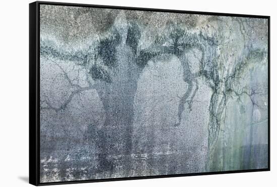 USA, California, Carrizo Plain National Monument. Abstract of oak tree and metal-Jaynes Gallery-Framed Stretched Canvas