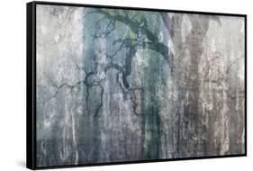 USA, California, Carrizo Plain National Monument. Abstract of oak tree and metal-Jaynes Gallery-Framed Stretched Canvas