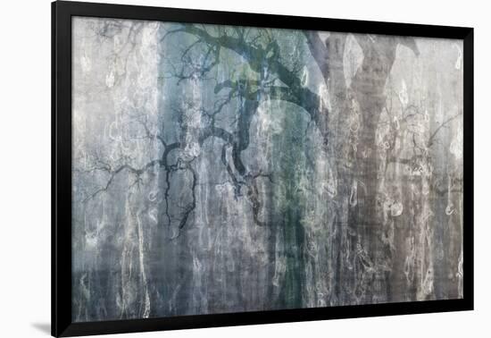 USA, California, Carrizo Plain National Monument. Abstract of oak tree and metal-Jaynes Gallery-Framed Photographic Print