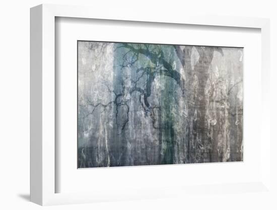 USA, California, Carrizo Plain National Monument. Abstract of oak tree and metal-Jaynes Gallery-Framed Photographic Print