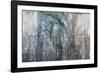 USA, California, Carrizo Plain National Monument. Abstract of oak tree and metal-Jaynes Gallery-Framed Photographic Print