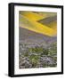 USA, California, Carrizo Plain National Monument, wildflowers-Charles Gurche-Framed Photographic Print