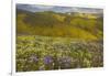 USA, California, Carrizo Plain National Monument, wildflowers-Charles Gurche-Framed Photographic Print