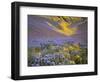 USA, California, Carrizo Plain National Monument, wildflowers-Charles Gurche-Framed Photographic Print