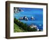 USA, California, Central California Coast-Jaynes Gallery-Framed Photographic Print