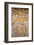 USA, California. Central Coast, Montecito, Butterfly Beach, drain and cobble eroded by King Tides-Alison Jones-Framed Photographic Print