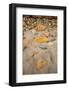 USA, California. Central Coast, Montecito, Butterfly Beach, drain and cobble eroded by King Tides-Alison Jones-Framed Photographic Print