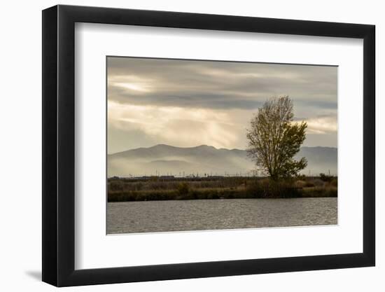 USA, California, Central Valley. San Joaquin River near Firebaugh.-Alison Jones-Framed Photographic Print