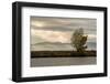 USA, California, Central Valley. San Joaquin River near Firebaugh.-Alison Jones-Framed Photographic Print